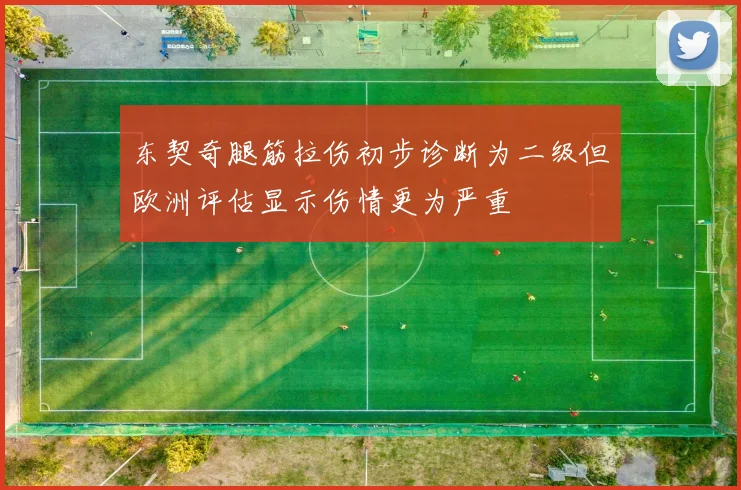 东契奇腿筋拉伤初步诊断为二级但欧洲评估显示伤情更为严重