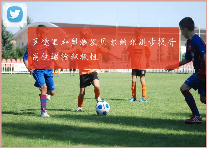 罗德里加盟激发贝尔纳尔进步提升高位逼抢积极性
